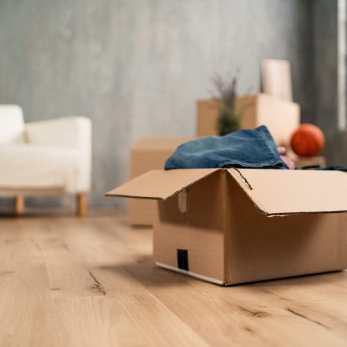 Débarras professionnel vs débarras seul : que choisir pour un désencombrement réussi ?