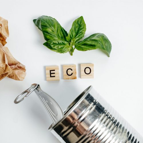 De quelle manière l’entreprise est une entité éco-responsable ?